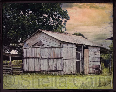 an old barn in belize